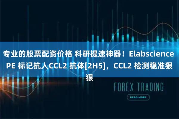 专业的股票配资价格 科研提速神器！Elabscience PE 标记抗人CCL2 抗体[2H5]，CCL2 检测稳准狠