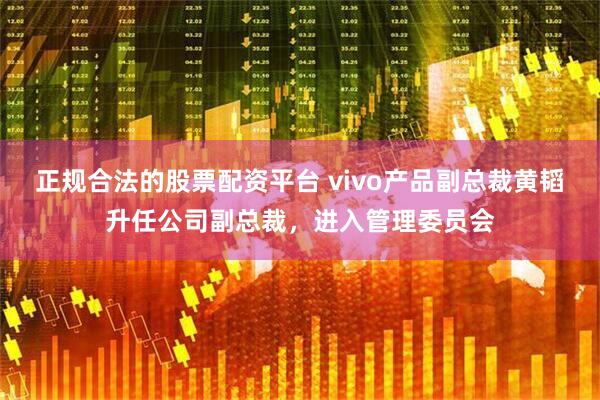 正规合法的股票配资平台 vivo产品副总裁黄韬升任公司副总裁，进入管理委员会