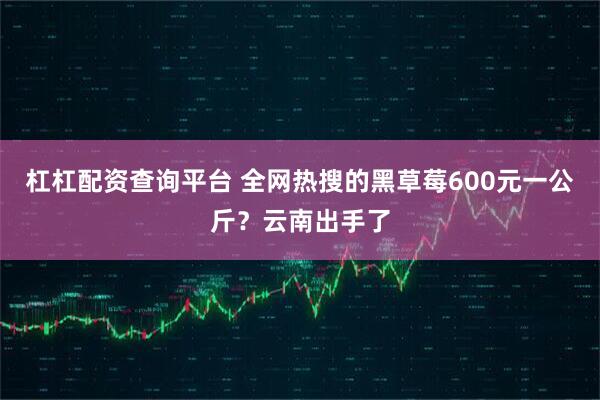 杠杠配资查询平台 全网热搜的黑草莓600元一公斤？云南出手了