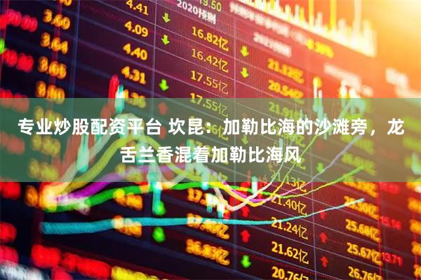 专业炒股配资平台 坎昆：加勒比海的沙滩旁，龙舌兰香混着加勒比海风