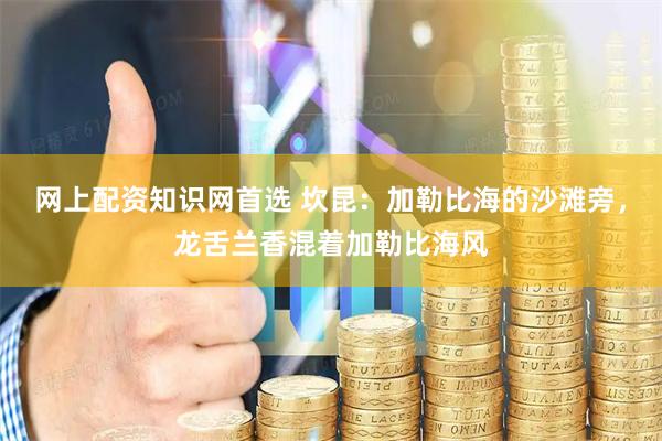 网上配资知识网首选 坎昆：加勒比海的沙滩旁，龙舌兰香混着加勒比海风